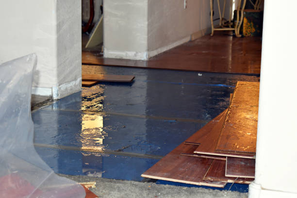 Professional Basement Flood Cleanup technician working in Liberty, UT